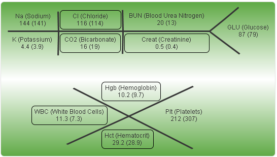 Fishbone Medical Chart